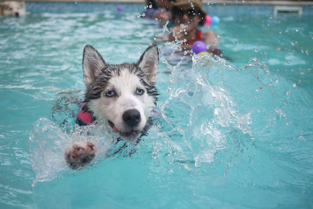 Pool Safety Inspections Brighton