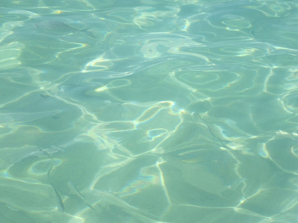 Pool Safety Inspections Eastern Heights
