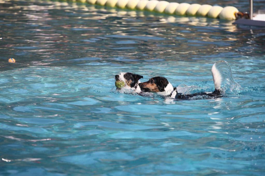 Pool Safety Inspections Goolman