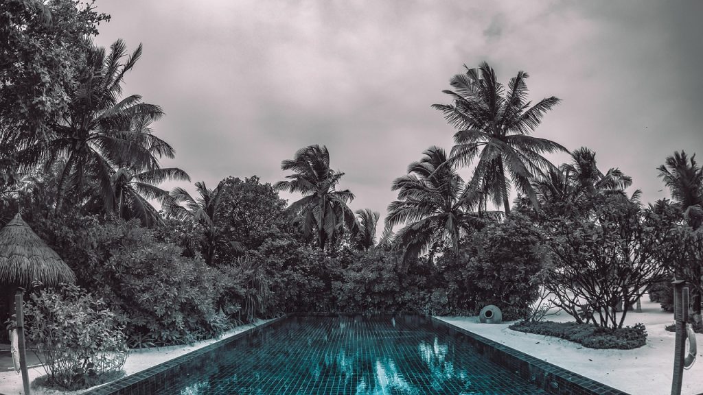 Pool Safety Inspections Park Ridge