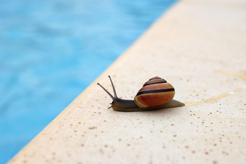 Pool Safety Inspections Rochedale
