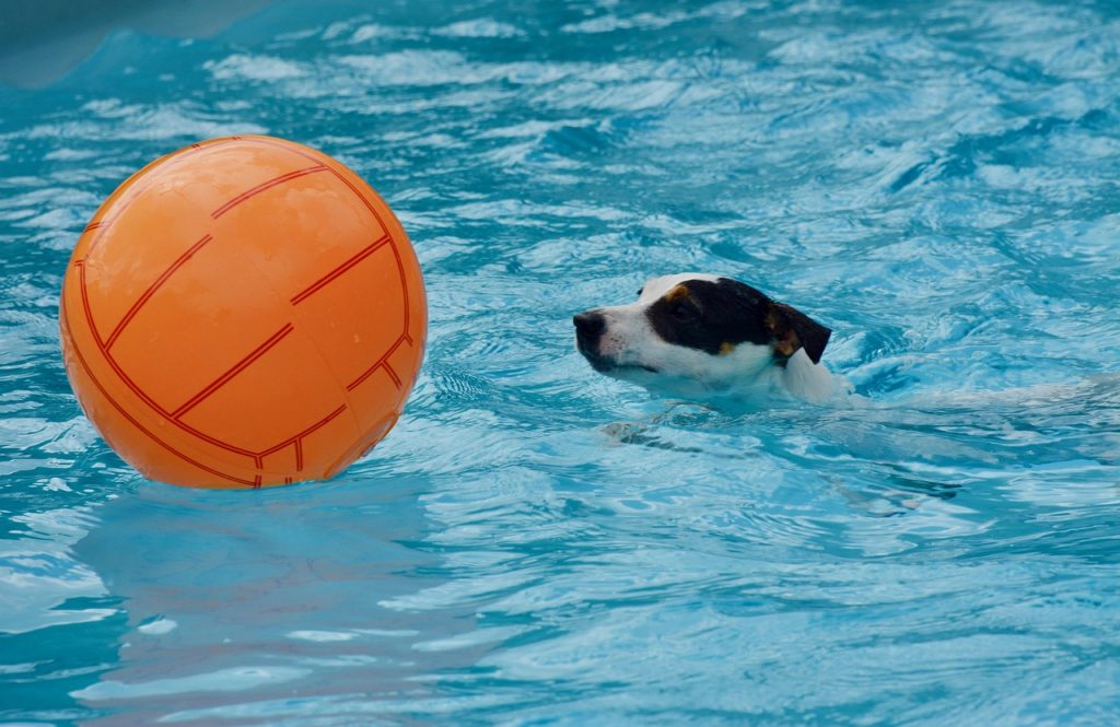 Pool Safety Inspections Salisbury